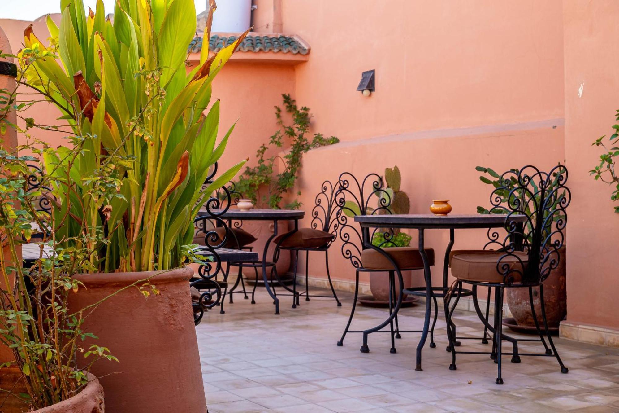 מרקש Riad La Gazelle Du Sud מראה חיצוני תמונה