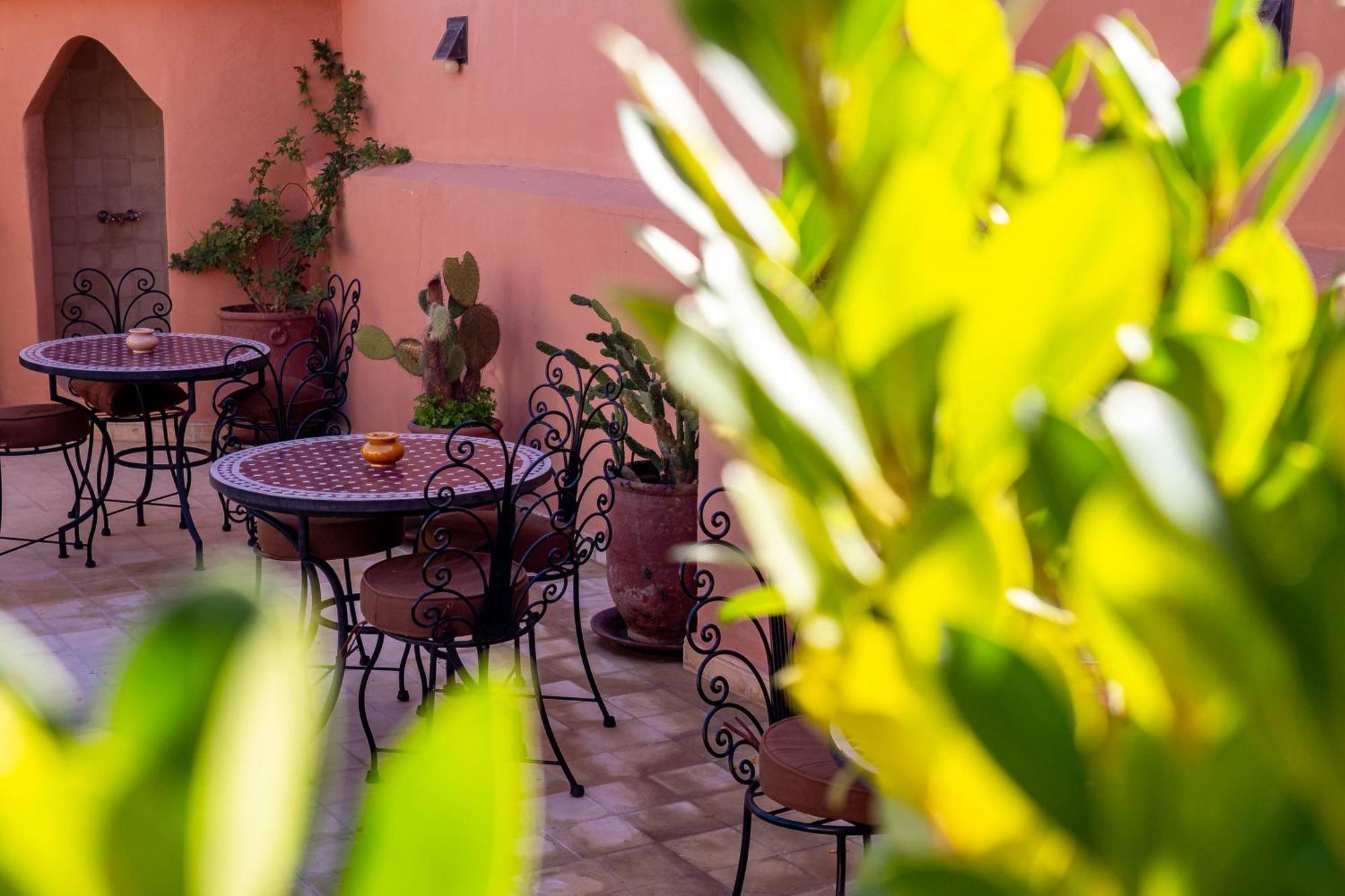 מרקש Riad La Gazelle Du Sud מראה חיצוני תמונה